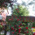 preview image7 esterno