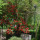 preview image5 esterno