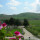 preview image1 dintorni