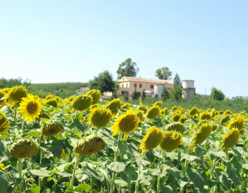 Turismo rurale masseria la guardata