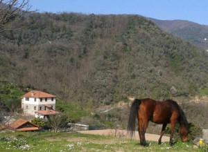 image12 Valle Chiappella