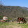 preview image15 esterno