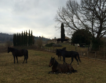 casa verragoli