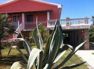 image2 Agave
