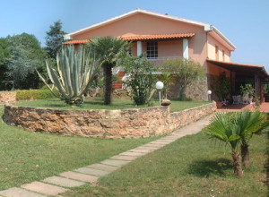 image29 Agave