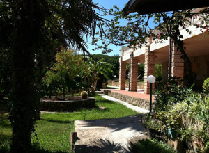 image4 Agave