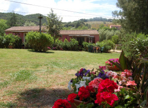 image9 L'aglientu