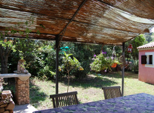 image5 L'aglientu
