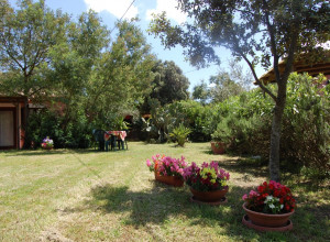 image16 L'aglientu