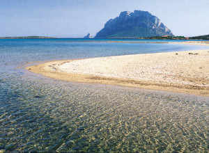 image28 L'aglientu