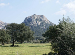 image23 L'aglientu