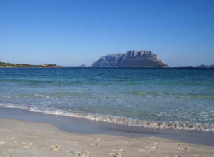 image18 L'aglientu