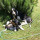 preview image18 esterno