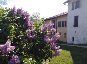 image7 La Lodola