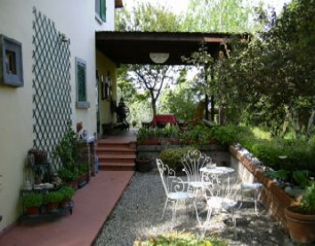 la pineta
