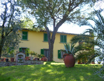la pineta