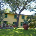 La Pineta