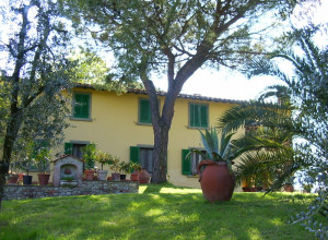 la pineta