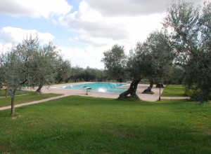 image16 La Rustica