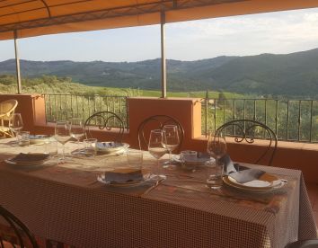Ristorante Terre Di Melazzano - Greve In Chianti (FI)