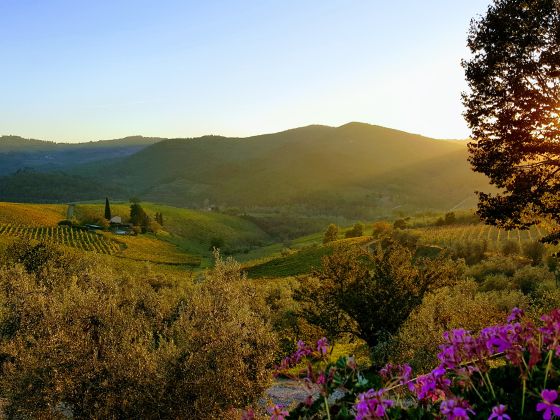 Terre Di Melazzano - foto 16