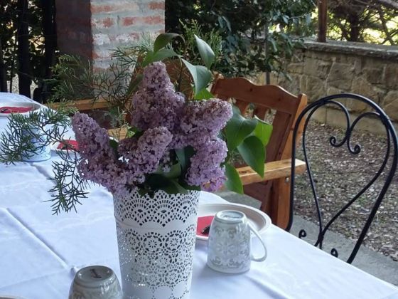 Terre Di Melazzano - foto 8