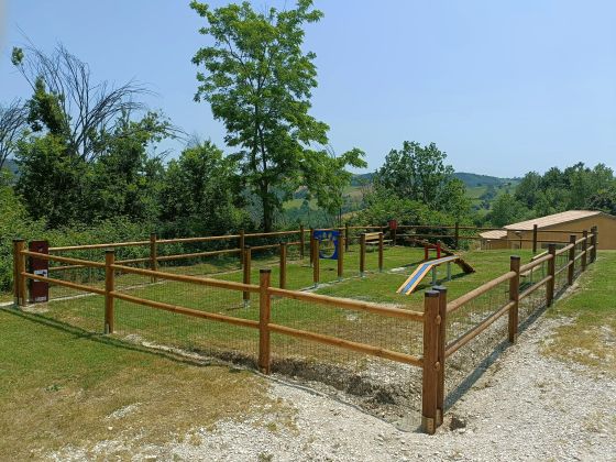 L'olmo Di Casigliano - foto 8