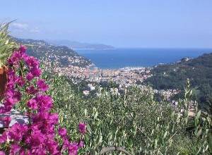 image15 Sognando Villa Edera
