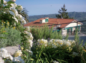 image27 Sognando Villa Edera