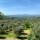 preview image6 esterno