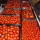 preview image10 nostri_prodotti