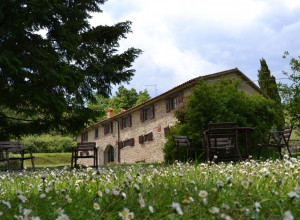 image4 Fattoria Il Praticino