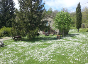 image12 Fattoria Il Praticino