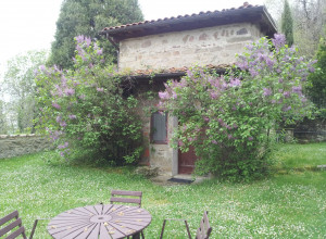 image14 Fattoria Il Praticino