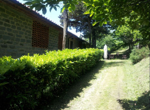 image8 Fattoria Il Praticino