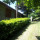 preview image18 giardino