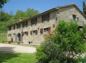 fattoria il praticino