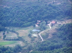 image3 Fattoria Il Praticino