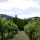 preview image2 esterno