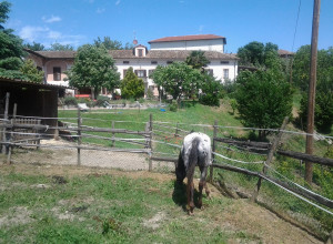 image3 Il Rifugio