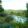 preview image11 giardino