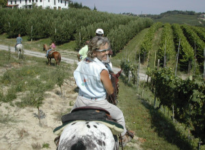 image1 Il Rifugio