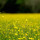 preview image8 esterno