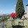 preview image9 esterno