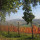 preview image10 esterno