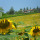 preview image8 esterno