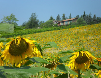 fattoria l'alpenice