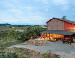 Fattoria L'alpenice