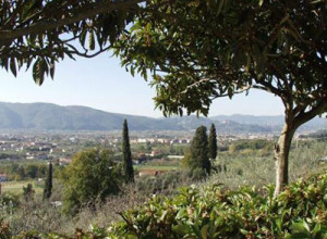 image6 Cascina Dei Peri