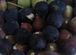 image25 Macchia Salentina